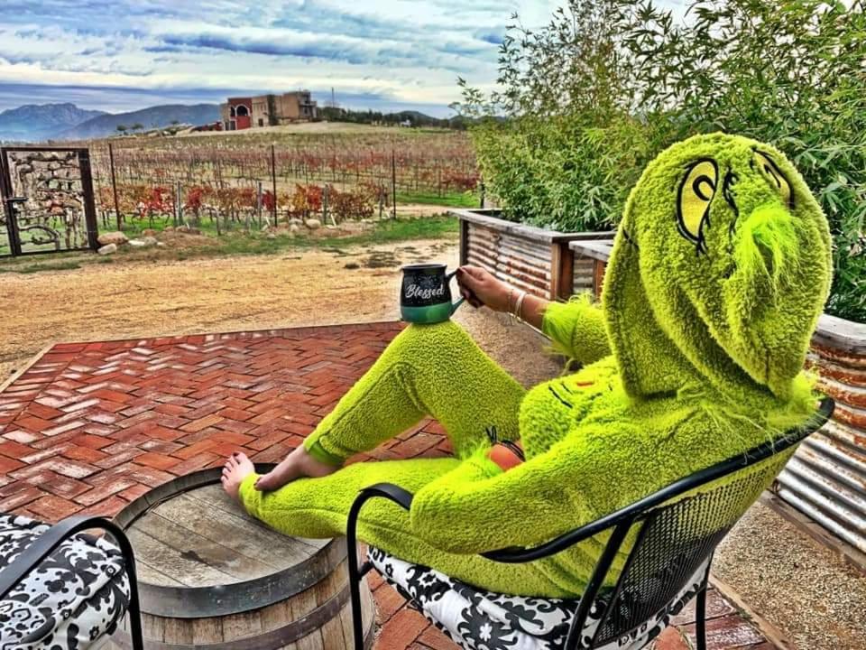 Finca Vidandrei Casa Mazahua Valle de Guadalupe Buitenkant foto