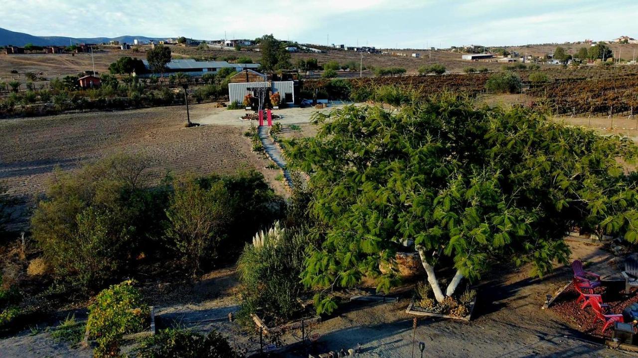 Finca Vidandrei Casa Mazahua Valle de Guadalupe Buitenkant foto