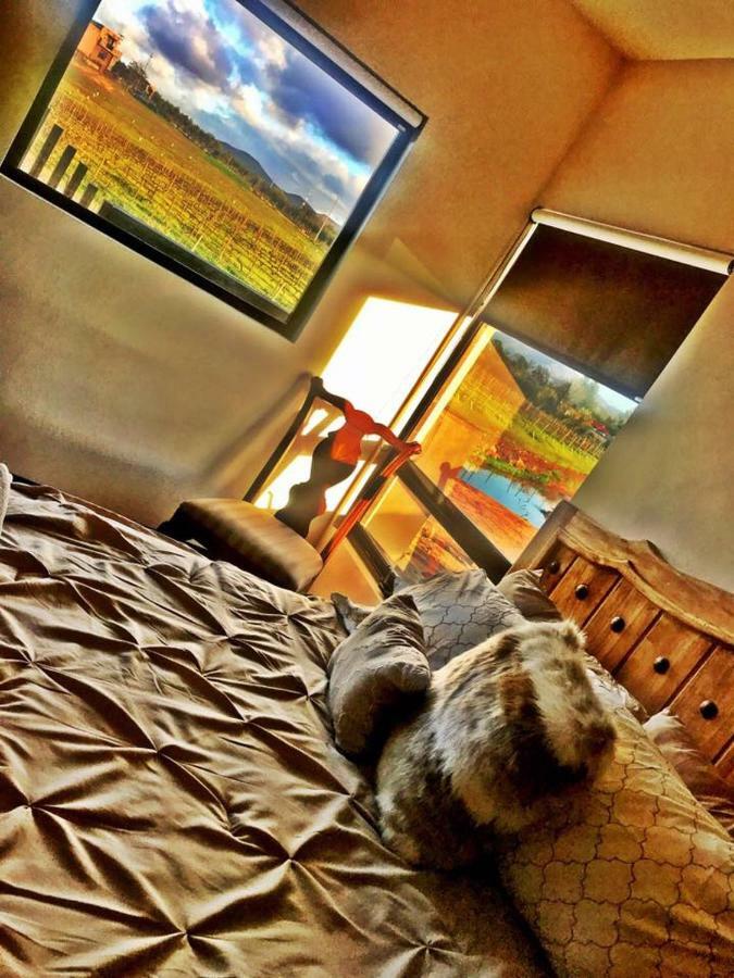 Finca Vidandrei Casa Mazahua Valle de Guadalupe Buitenkant foto